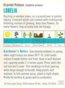 Cornucopia Lobelia Crystal Palace - 15022