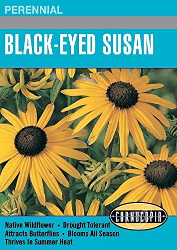 Cornucopia Black-Eyed Susan Native Wildflowers - 14996