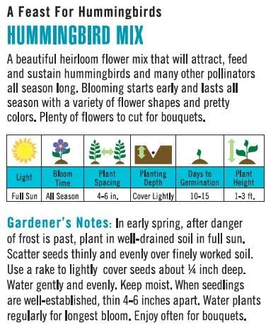 Cornucopia Hummingbird Mix A Feast for Hummingbird - 15080