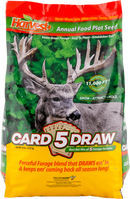 Card 5 Draw - 13998