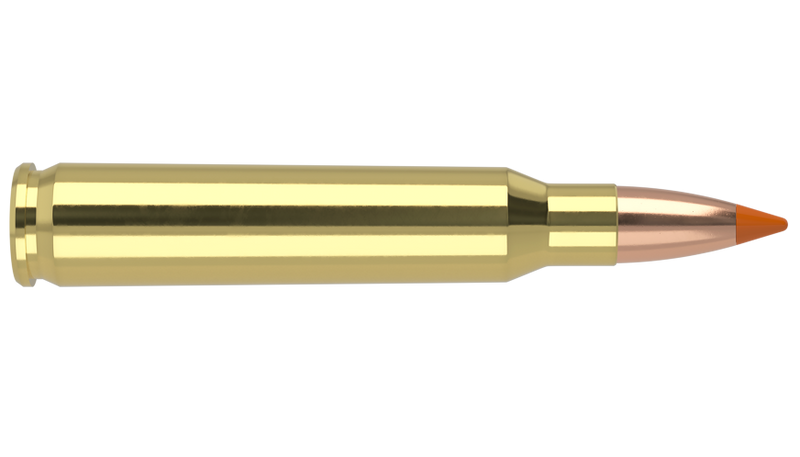 Nosler Ballistic Tip Varmint .223 Rem 55gr (20 rounds)