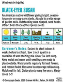 Cornucopia Black-Eyed Susan Native Wildflowers - 14996
