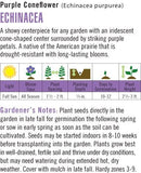 Cornucopia Echinacea Purple Coneflower - 15014