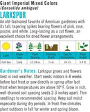 Cornucopia Larkspur Giant Imperial Mixed Colors - 15021