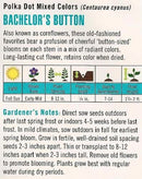 Cornucopia Bachelor's Button Heirloom Polka Dot Mixed - 14995