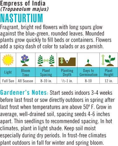 Cornucopia Nasturtium Empress of India - 15034