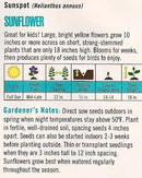 Cornucopia Sunflower Sunspot - 15090
