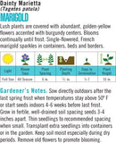 Cornucopia Marigold Heirloom Dainty Marietta - 15024