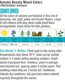 Cornucopia Sunflower Autumn Beauty Mixed Colors - 15085