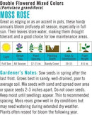 Cornucopia Moss Rose Double Flowered Mixed Colors - 15032