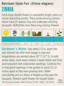 Cornucopia Zinnia State Fair - 15099