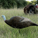 Primos Gobstopper Jake & Hen Combo Decoy