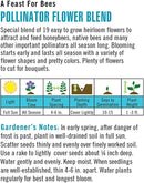 Cornucopia Pollinator Flower Blend A Feast for Bee - 15071