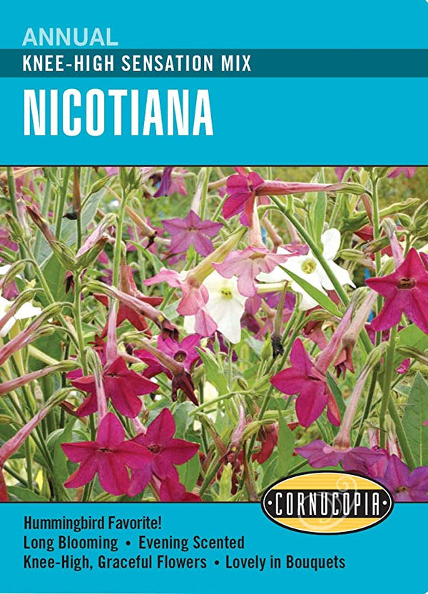 Cornucopia Nicotiana Knee-High Sensation Mix - 15049