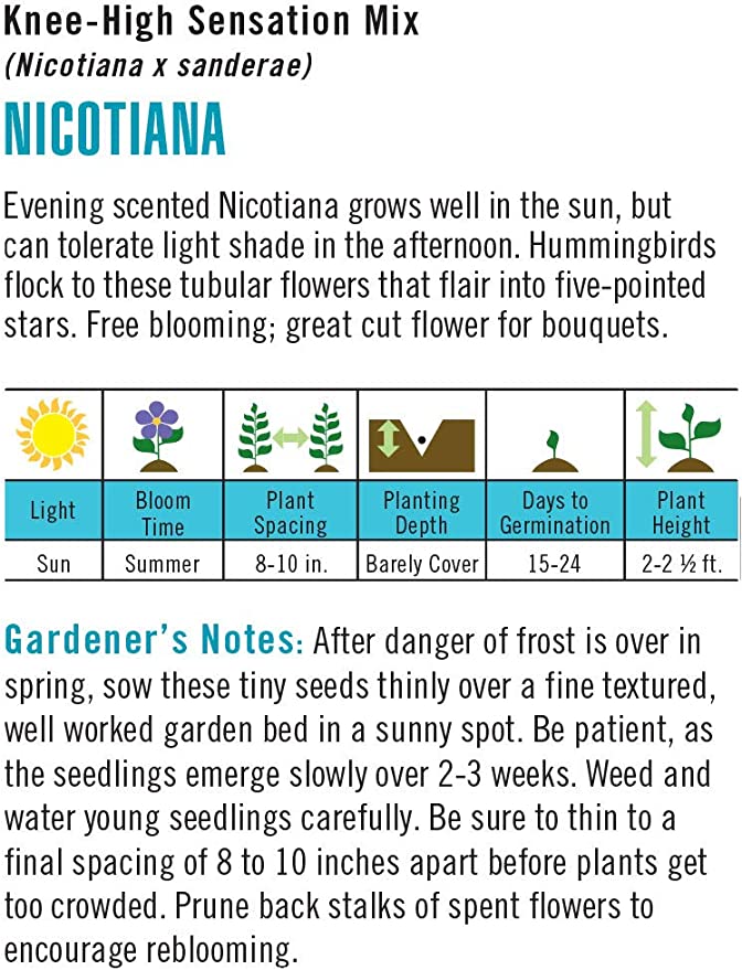 Cornucopia Nicotiana Knee-High Sensation Mix - 15049