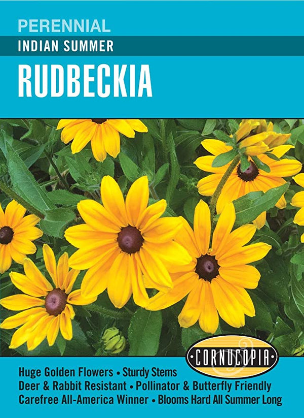 Cornucopia Rudbeckia Indian Summer - 15082