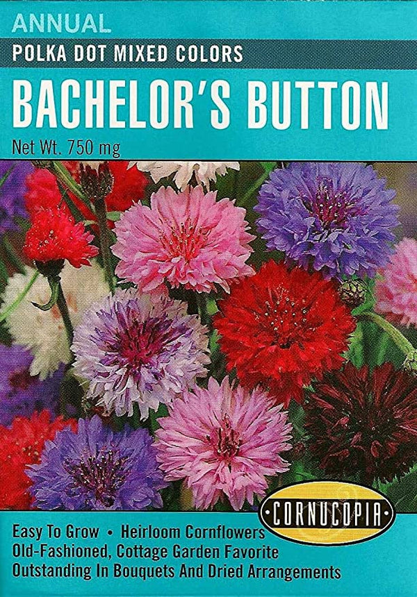 Cornucopia Bachelor's Button Heirloom Polka Dot Mixed - 14995