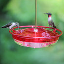 Cole's Hummer High Rise - 14879