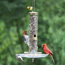 Cole's Terrific Tube Feeder - 14876