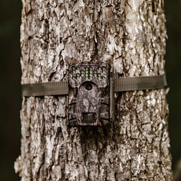 Moultrie A900i Trail Camera Bundle