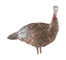 Avian X Lookout Hen Decoy - 13875