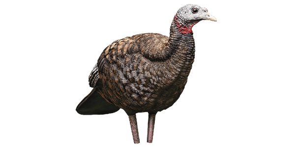 Avian-X LCD Breeder Hen