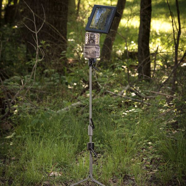 Moultrie Universal Camera Stake - 13960