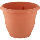 Bloem 12" Ariana Planter - 15154