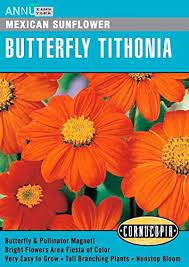 Cornucopia Butterfly Tithonia Mexican Sunflower - 15093