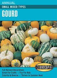 Cornucopia Gourd Small Mixed Types - 15018