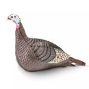 HS Strut Hen 2 Pack - 10326