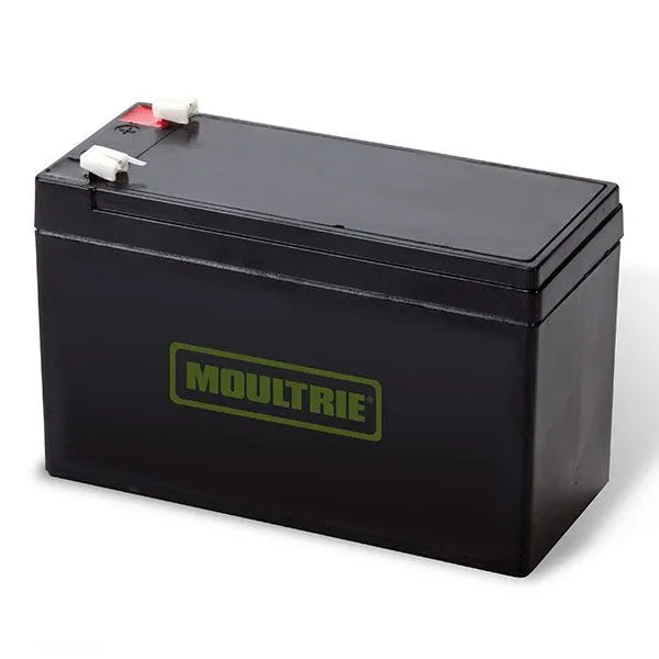 12-V Rechargeable Battery - 11781
